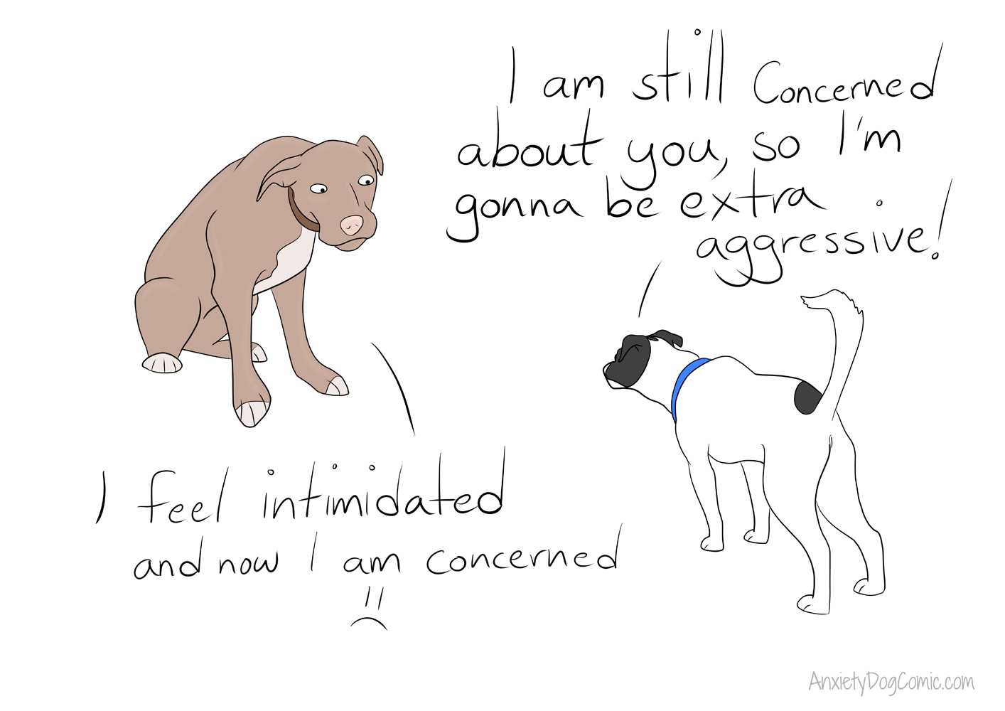 Anxiety Dogs