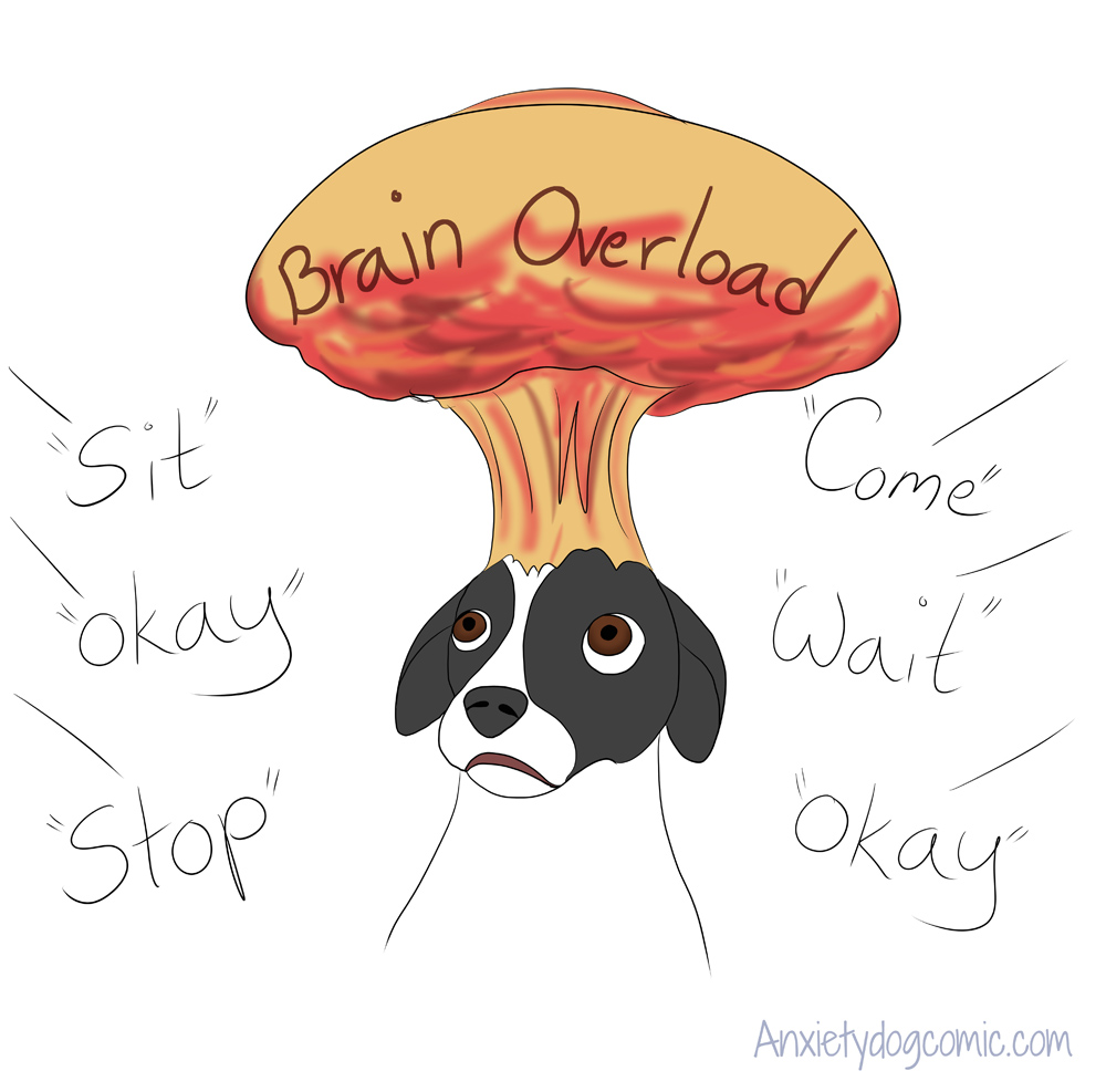 Brain Overload