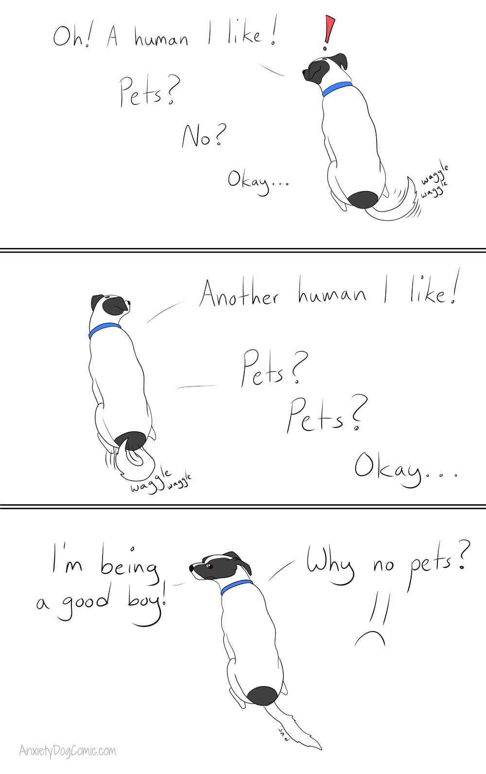 Why No Pets