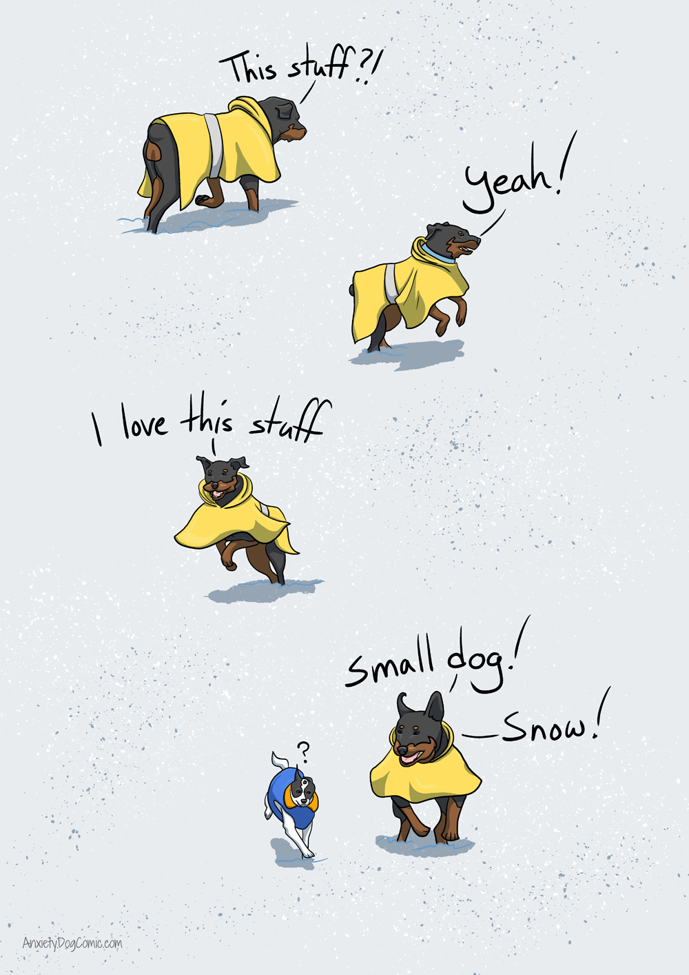 SMALL DOG DO YOU SEE THE SNOW?