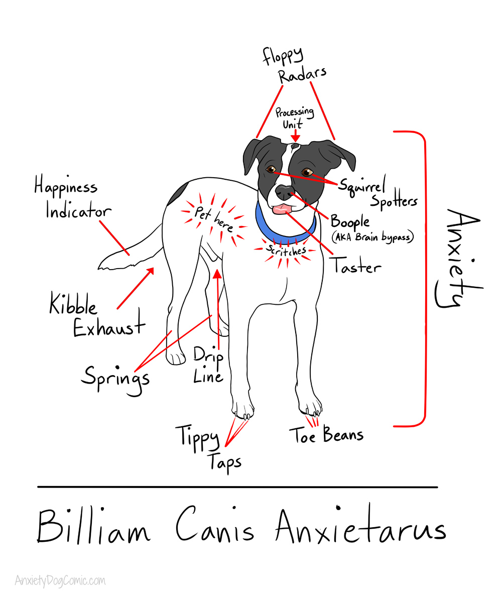 Canis lupus riddikulus